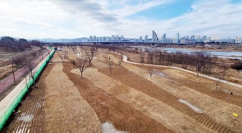 세종시 금강 파크골프장