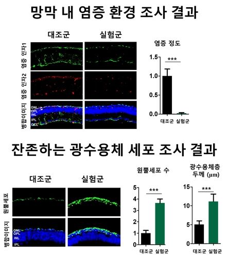 염증 반응성 하이드로젤을 이용한 약물 효과 검증 결과
