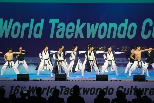  세계태권도문화엑스포 시범공연