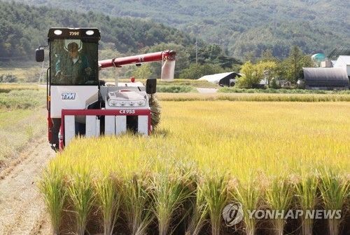 기후 적응형 벼 안정생산 시범 사업 현장 평가