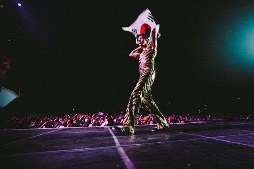 태극기 흔드는 해리 스타일스