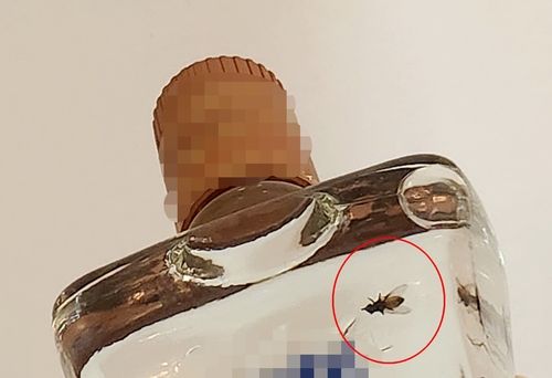 술병 안에 든 벌레 추정 물체