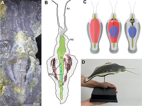 [극지연구소 제공. 재판매 및 DB 금지]