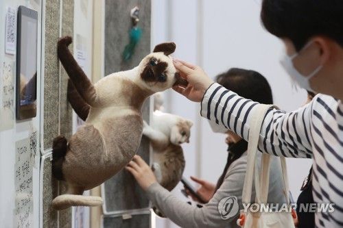 지난해 서울 캣쇼 모습 