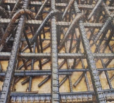 갈고리 모양의 전단보강근 