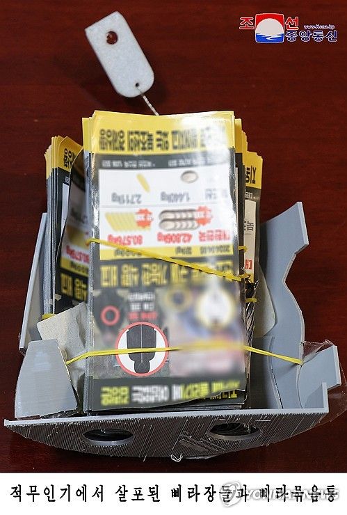 북한이 주장한 평양에 살포된 남측 대북 전단