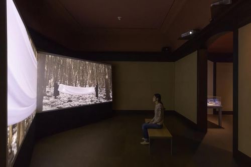 2018년 카네기 인터내셔널에서 선보인 한강의 비디오 아트 '작별하지 않는다'