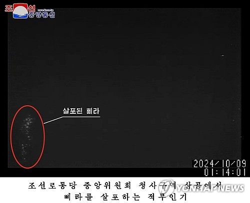 북한이 주장한 평양 상공에서 살포되는 대북 전단