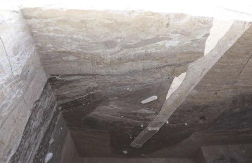 서성벽에서 확인된 장목주