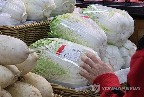 배추 고르는 시민