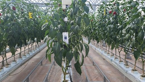 아라온실 적용 스마트팜