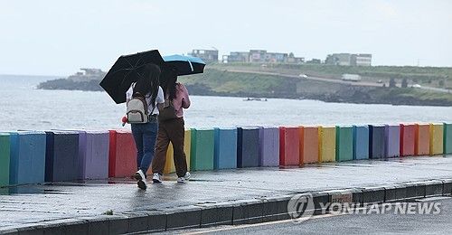 비 내리는 제주