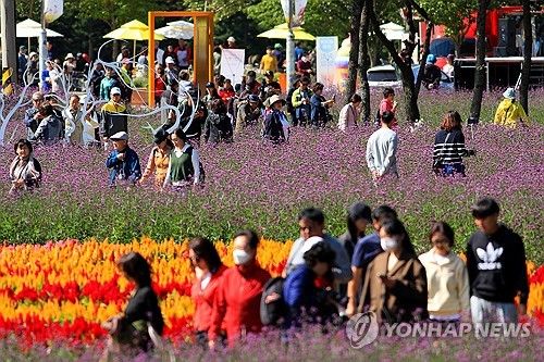 북적이는 인제 가을꽃축제장