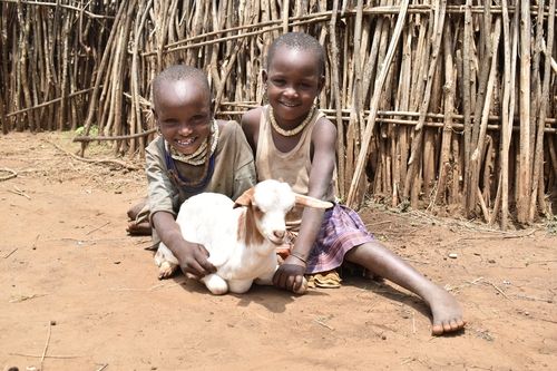 우간다 가정에 배분된 흰색 염소와 포즈 취하는 나우세 씨의 아이들