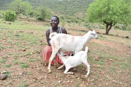 우간다의 로즈메리 씨가 배분받은 염소와 새끼 염소
