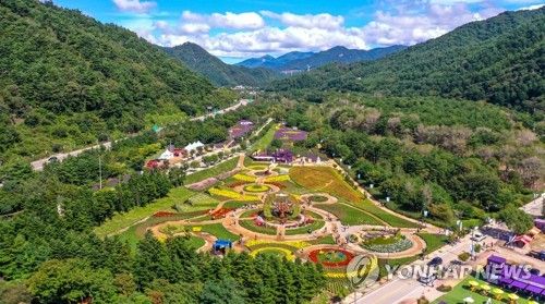 인제 가을꽃축제