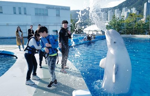 [거제씨월드 제공. 재판매 및 DB 금지]