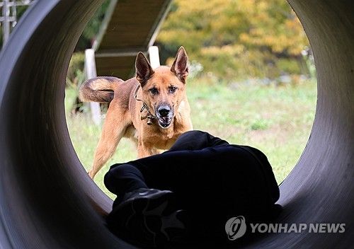 "여기 실종자 있어유"