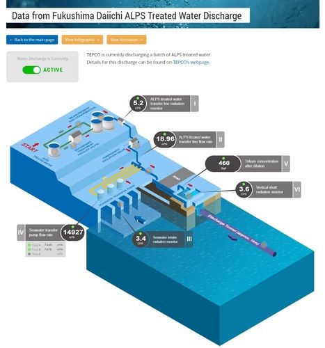 국제원자력기구(IAEA)가 실시간으로 공개한 후쿠시마 제1원전 방류 데이터