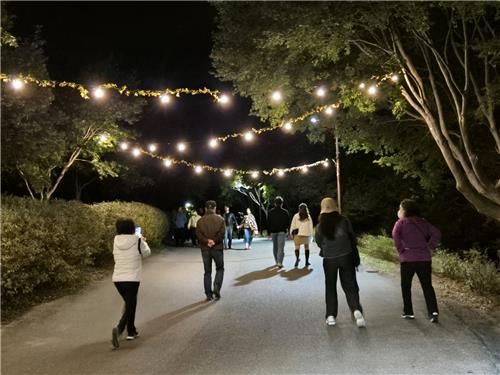 야간경관 투어 모습