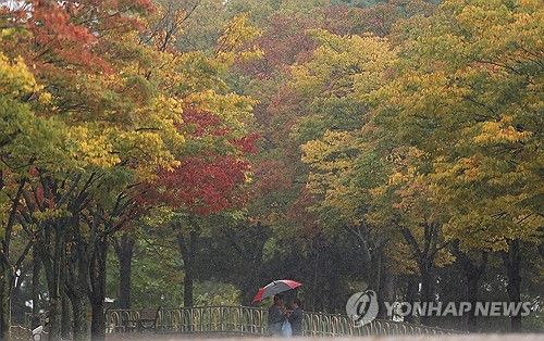 가을 깊어지게 만드는 비