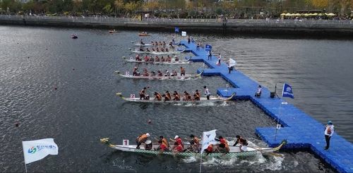 드래곤보트대회