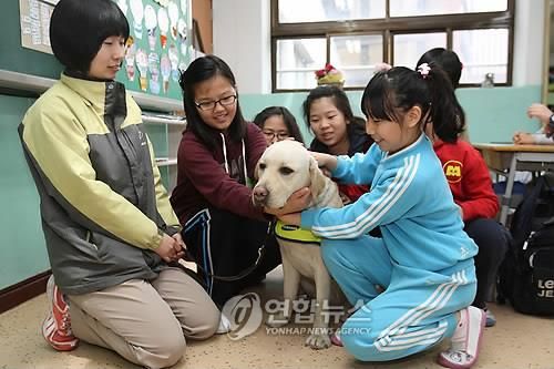 2010년 4월 촬영된 장애인 보조견