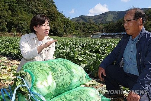 송미령 장관, 배추 주산지서 출하 동향 점검