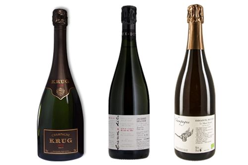 더 비노494 인기 샴페인