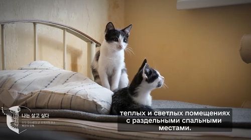 우크라이나의 북한군 포로수용시설 소개 영상