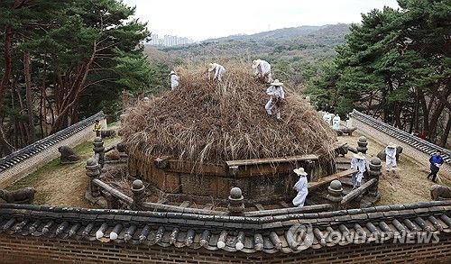 한식 맞아 건원릉 억새 베기