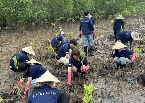 HS효성첨단소재, 베트남 맹그로브 숲 복원 추진