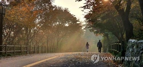 남산 둘레길 가을 풍경