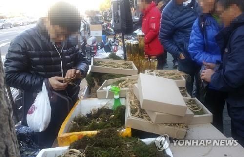 2018년 1월 불법 산양삼 유통업자 검거 장면