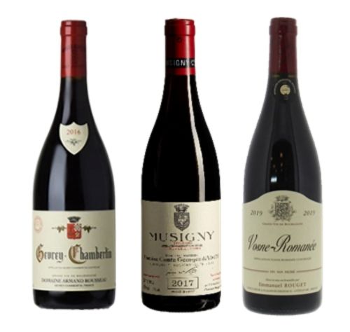 더 비노494 인기 부르고뉴 와인