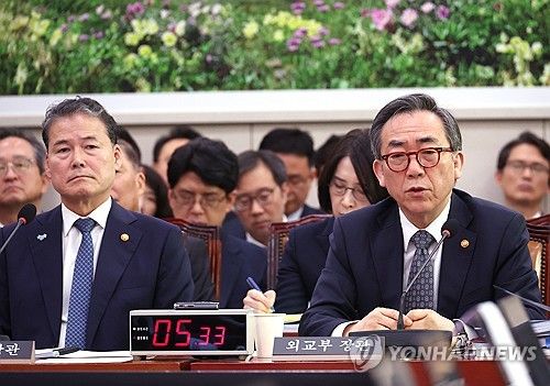 질의에 답하는 조태열 외교부 장관