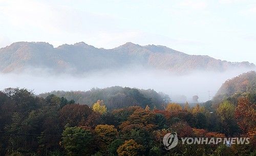 가을 안개 소경