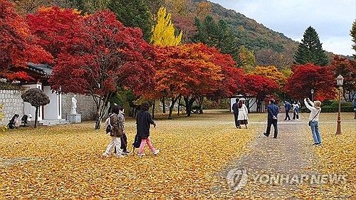 가을빛에 물든 제천 배론성지