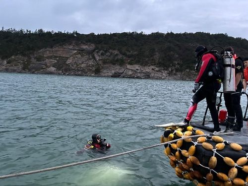 A씨 수색하는 해경