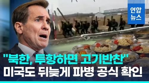 [영상] "북한, 투항하면 고기반찬"…미, 뒤늦게 파병확인 "정당한 표적" - 2