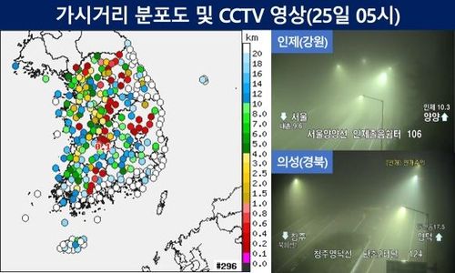 가시거리 분포도