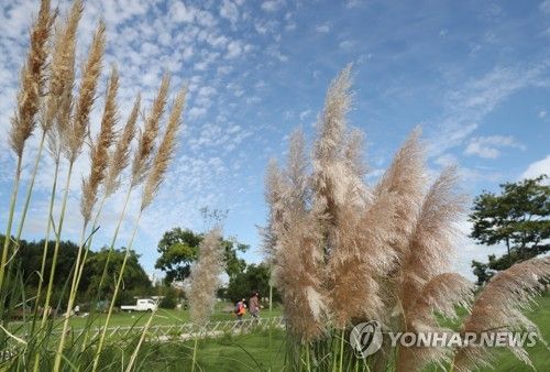 완연한 가을 날씨