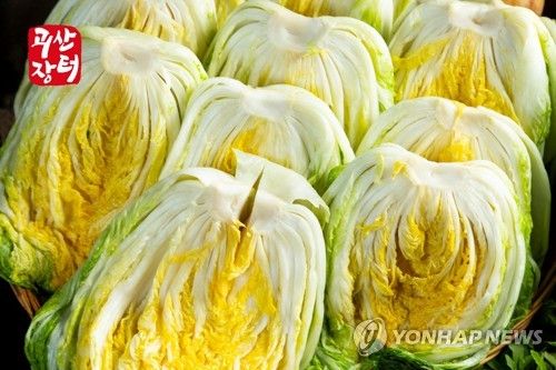 괴산절임배추