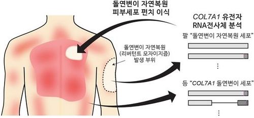 [강남세브란스병원 제공. 재판매 및 DB 금지]