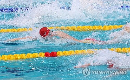 역영하는 판잔러