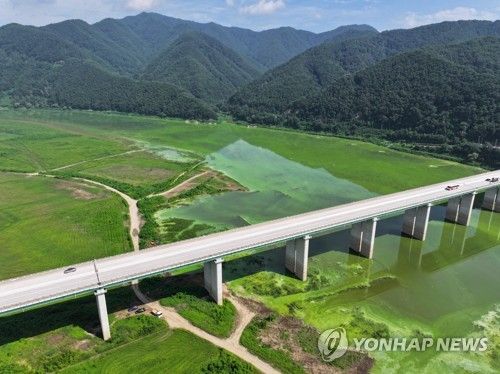 '수도권 식수원' 소양호 상류에 녹조 발생