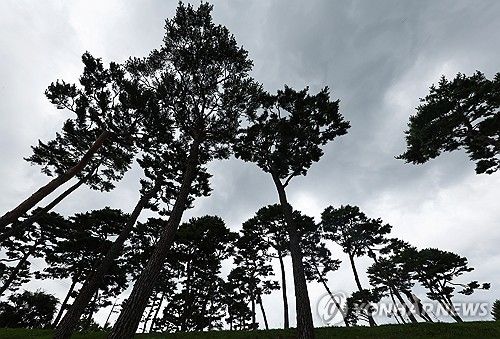 먹구름 가득한 하늘