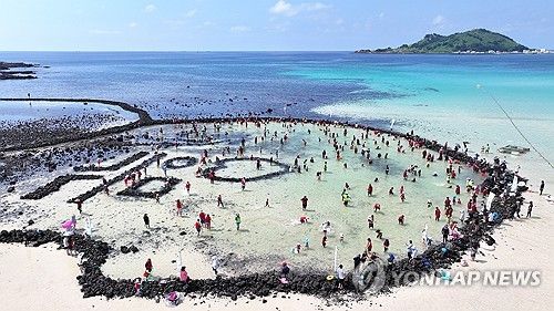 제주 금능 원담축제 맨손 고기잡기