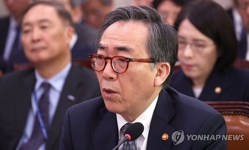 질의에 답하는 조태열 외교부 장관