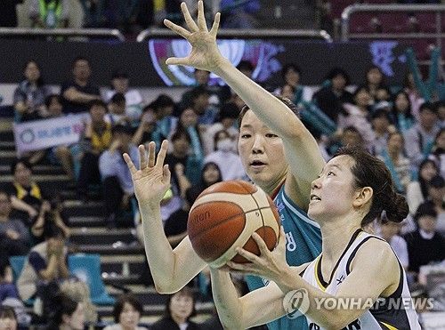 작지만 지지 않는다